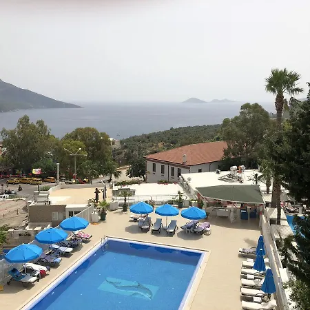 Dream Hotel